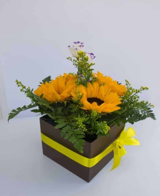 Ανθοσύνθεση σε τετράγωνο κουτί με ηλιοτρόπια Ανθοσυνθέσεις Φρέσκων Λουλουδιών Ανθοπωλείο Δραγατάκη 2