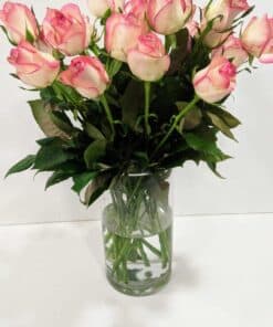 Τριαντάφυλλα δίχρωμα Jumilia 70cm Λουλούδια βάζου Ανθοπωλείο Δραγατάκη