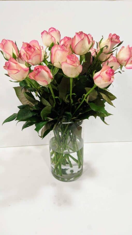 Τριαντάφυλλα δίχρωμα Jumilia 70cm Λουλούδια βάζου Ανθοπωλείο Δραγατάκη