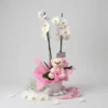 Little Prince – Premium Ανθοσύνθεση για Αγόρι σε Πλεκτό Καλάθι 2 orchidea-doro-neogennito-maroysi-phalaenopsis-dragatakis-flowers