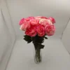 Τριαντάφυλλα δίχρωμα Jumilia 70cm