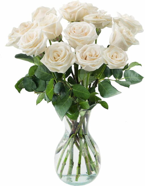 Τριαντάφυλλα λευκά 70cm Γενέθλια - Γιορτή - Επέτειος - Κοινωνικές εκδηλώσεις Ανθοπωλείο Δραγατάκη | Αποστολή λουλουδιών στην Αθήνα |Μαρούσι-Βόρεια Προάστια