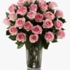 Τριαντάφυλλο Ecuador ροζ 70cm
