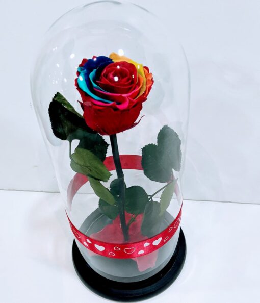 Forever Roses ουράνιο τόξο σε γυάλινη καμπάνα Forever Roses - Eternal Roses Ανθοπωλείο Δραγατάκη