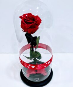 Forever Roses κόκκινο σε γυάλινη καμπάνα Forever Roses - Eternal Roses - Preserved Roses Ανθοπωλείο Δραγατάκη