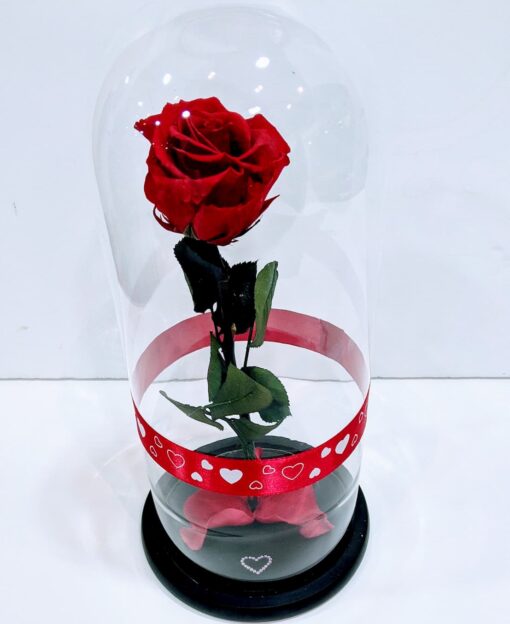 Forever Roses κόκκινο σε γυάλινη καμπάνα Forever Roses - Eternal Roses Ανθοπωλείο Δραγατάκη | Αποστολή λουλουδιών στην Αθήνα |Μαρούσι-Βόρεια Προάστια