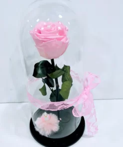 Forever-Rose-ροζ