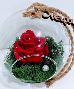 Forever Roses κόκκινο σε στρογγυλή γυάλα Forever Roses - Eternal Roses - Preserved Roses Ανθοπωλείο Δραγατάκη