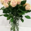 Ιβουάρ Τριαντάφυλλα 70cm