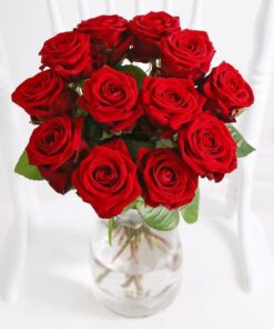 Τριαντάφυλλα Rhodos εισαγωγής 60cm