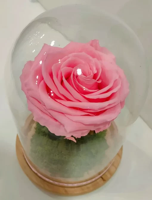 forever-roses-roz-se-gyalini-kabana
