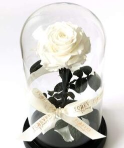 Forever Roses λευκό σε γυάλινη καμπάνα Forever Roses - Eternal Roses - Preserved Roses Ανθοπωλείο Δραγατάκη