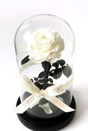 Forever Roses λευκό σε γυάλινη καμπάνα Forever Roses - Eternal Roses Ανθοπωλείο Δραγατάκη | Αποστολή λουλουδιών στην Αθήνα |Μαρούσι-Βόρεια Προάστια