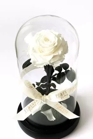 Forever Roses λευκό σε γυάλινη καμπάνα Forever Roses - Eternal Roses Ανθοπωλείο Δραγατάκη