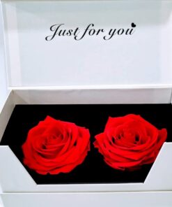 2 Forever Roses κόκκινα σε λευκή μαγνητική κασετίνα Forever Roses - Eternal Roses Ανθοπωλείο Δραγατάκη