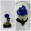 Forever Roses Navy Blue σε μαγνητική κασετίνα Forever Roses - Eternal Roses - Preserved Roses Ανθοπωλείο Δραγατάκη 5