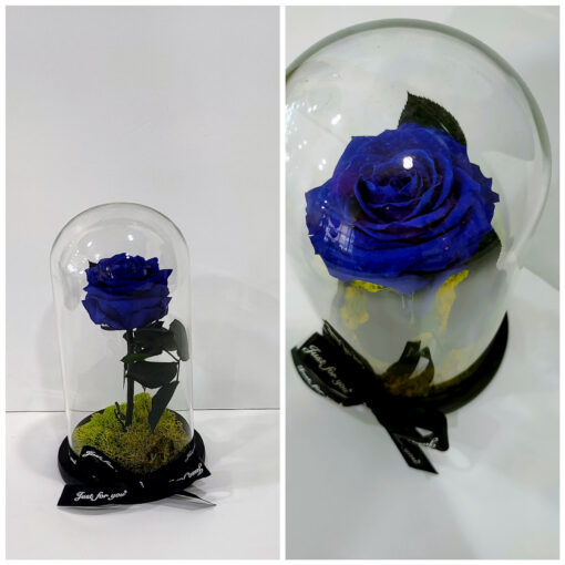 Forever Roses Navy Blue σε γυάλινη καμπάνα Forever Roses - Eternal Roses Ανθοπωλείο Δραγατάκη