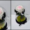 Forever Roses σε λευκή καρδιά Forever Roses - Eternal Roses - Preserved Roses Ανθοπωλείο Δραγατάκη 5