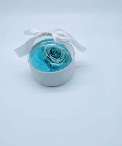 Forever Roses γαλάζιο σε θόλο plexyglass Forever Roses - Eternal Roses - Preserved Roses Ανθοπωλείο Δραγατάκη