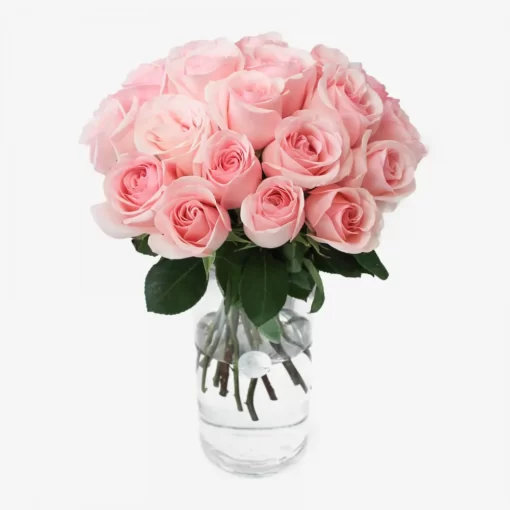 Τριαντάφυλλα ροζ ecuador 70cm