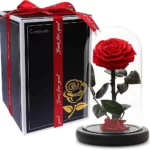 5 Λόγοι για να επιλέξτε τα Forever Roses
