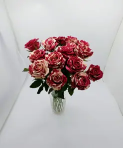 Δίχρωμο τριαντάφυλλο Αρλεκίνος 50cm Λουλούδια βάζου Ανθοπωλείο Δραγατάκη
