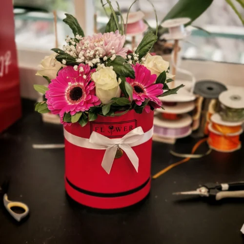 Fuchsia Passion Fuchsia Passion